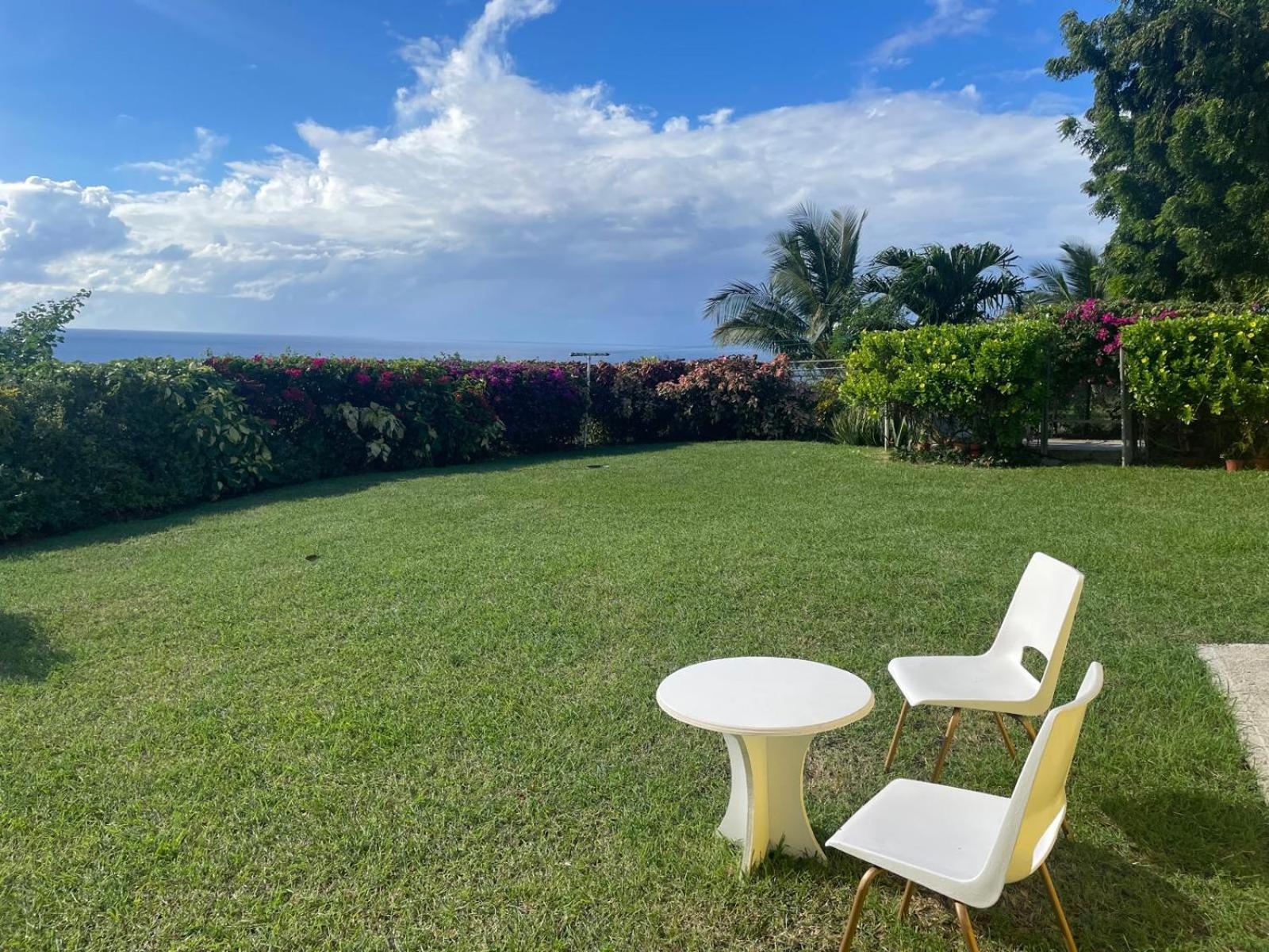 Апартаменты Spectacular Ocean View Retreat Сент-Джеймс Экстерьер фото